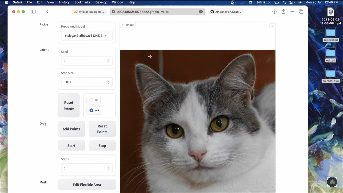 How to Install DragGAN AI in Google Colab? (Installation Guide ...