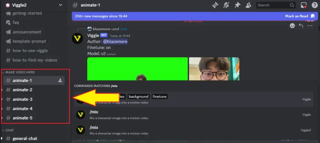 Viggle AI discord video 